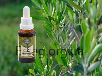 Экстракт оливкового листа: природное сокровище для здоровья!